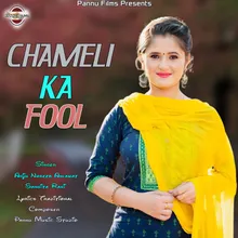 Chameli Ka Fool